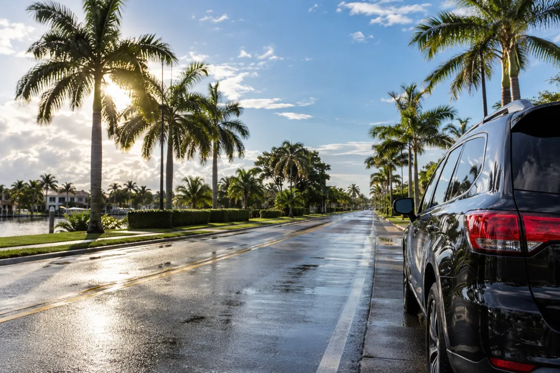 Illustrative palm-lined Florida road with a vehicle after rain